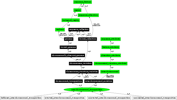 Graph image for SO:1000155