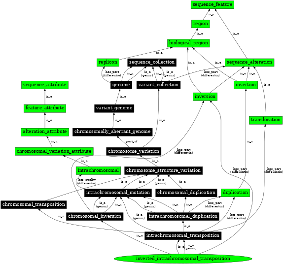 Graph image for SO:1000158