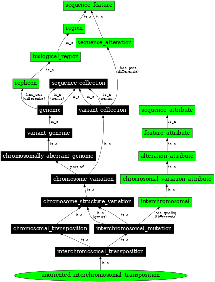 Graph image for SO:1000161
