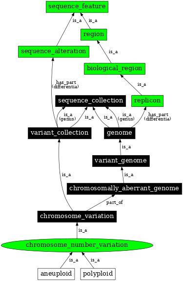 Graph image for SO:1000182