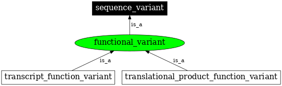 Graph image for SO:0001536