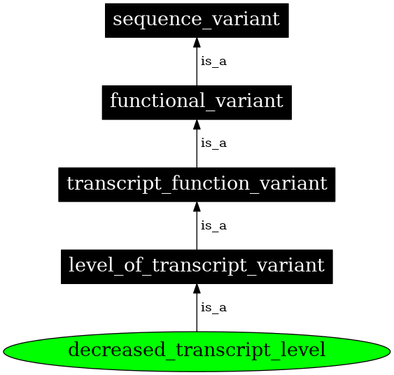 Graph image for SO:0001541