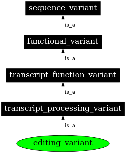 Graph image for SO:0001544