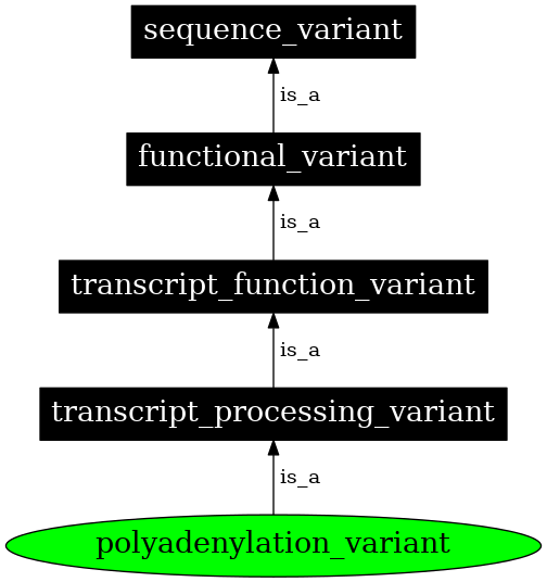 Graph image for SO:0001545