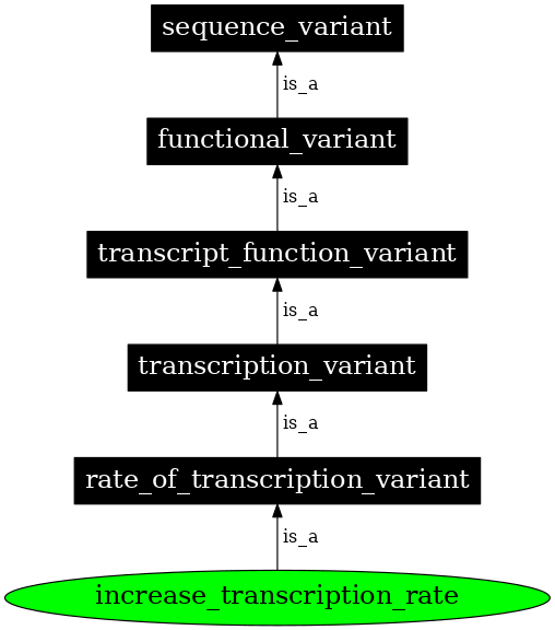 Graph image for SO:0001551