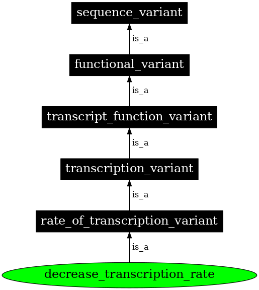 Graph image for SO:0001552