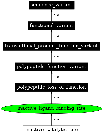Graph image for SO:0001560