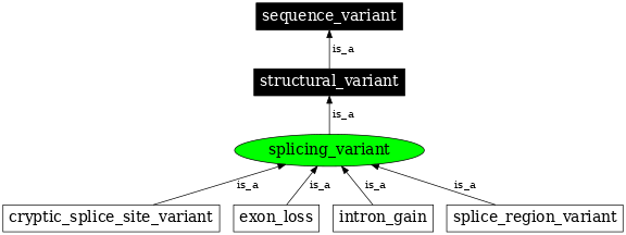 Graph image for SO:0001568