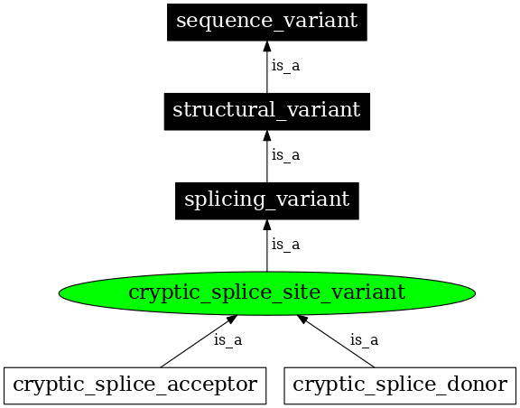 Graph image for SO:0001569