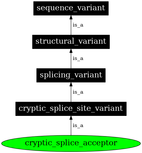 Graph image for SO:0001570