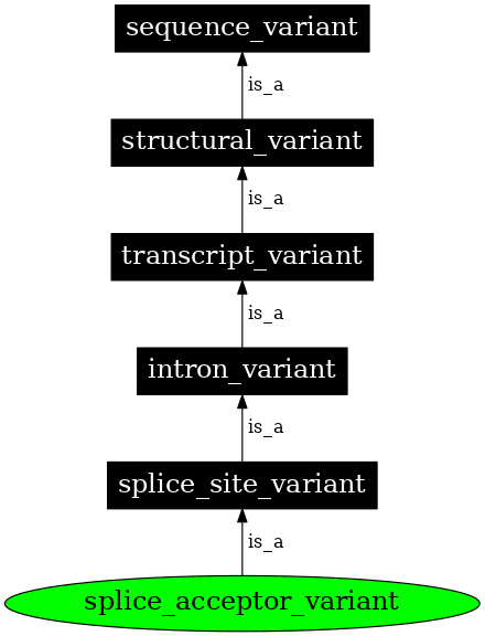 Graph image for SO:0001574