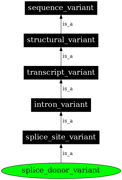 Graph image for SO:0001575