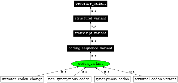 Graph image for SO:0001581