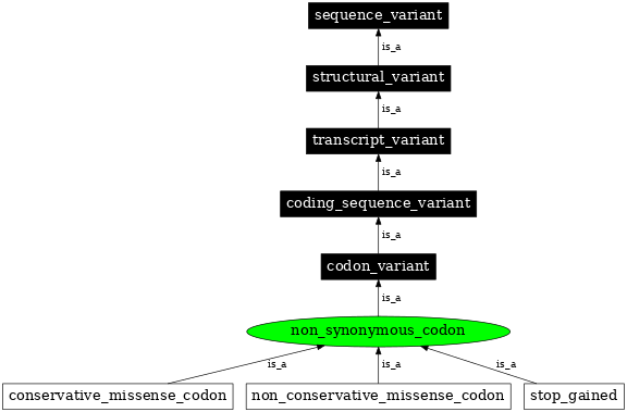 Graph image for SO:0001583