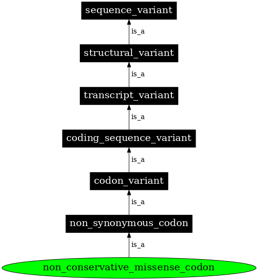 Graph image for SO:0001586