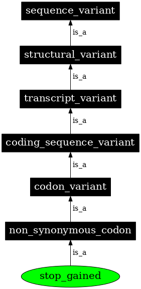 Graph image for SO:0001587
