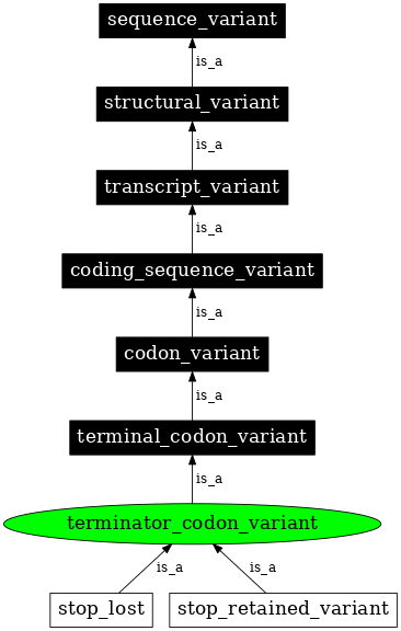Graph image for SO:0001590