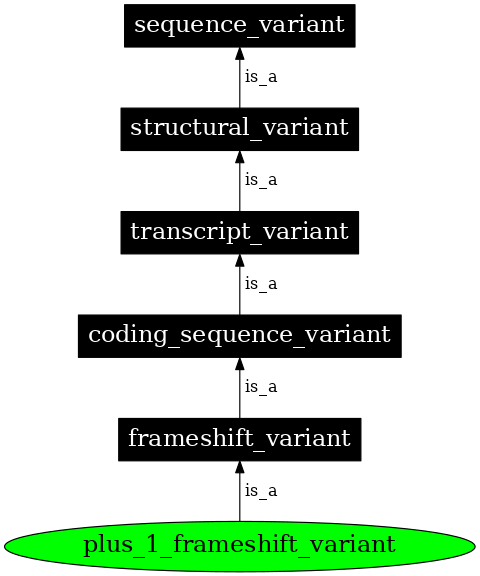Graph image for SO:0001594