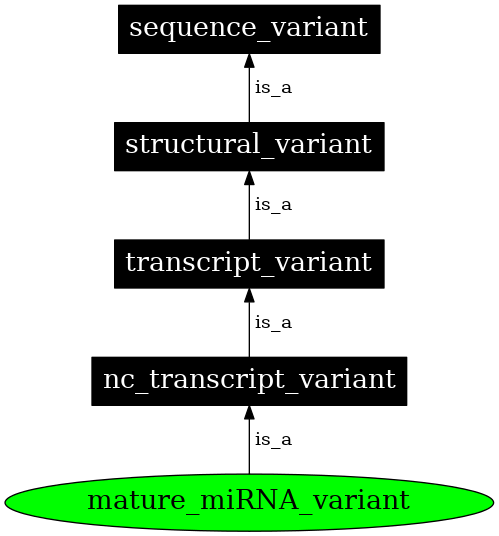 Graph image for SO:0001620