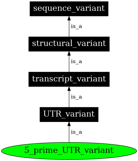 Graph image for SO:0001623