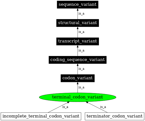 Graph image for SO:0001625