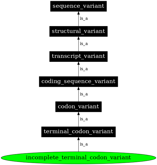 Graph image for SO:0001626