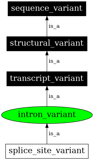 Graph image for SO:0001627