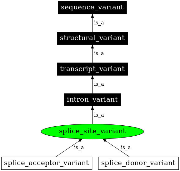 Graph image for SO:0001629