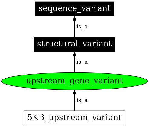Graph image for SO:0001631