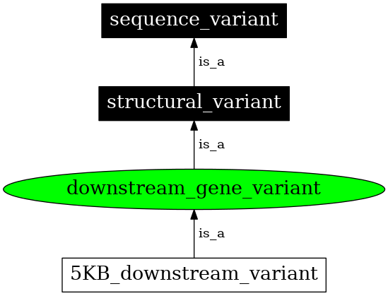 Graph image for SO:0001632