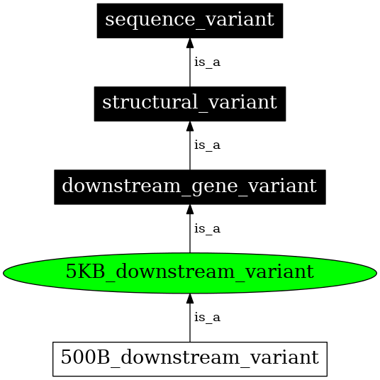 Graph image for SO:0001633