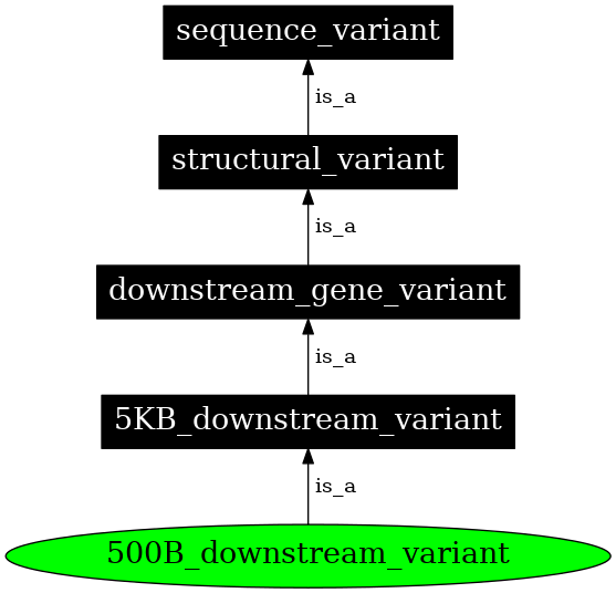 Graph image for SO:0001634