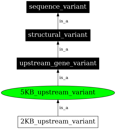 Graph image for SO:0001635