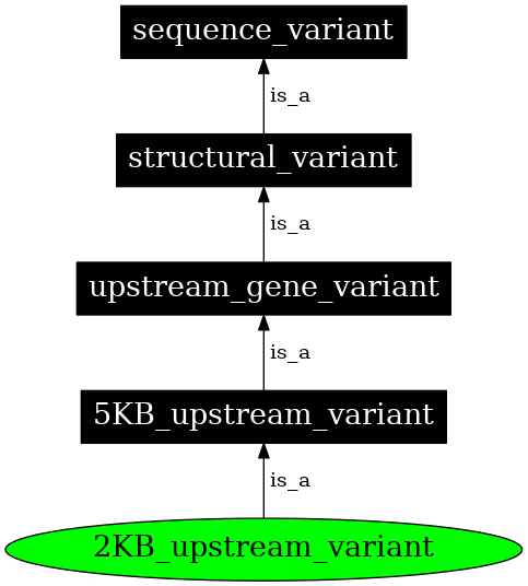 Graph image for SO:0001636