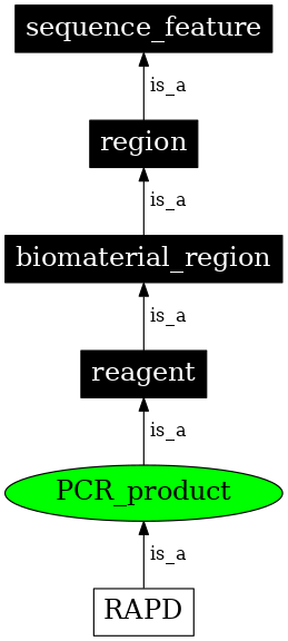 Graph image for SO:0000006