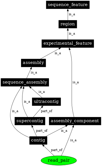 Graph image for SO:0000007