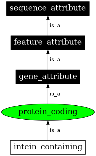 Graph image for SO:0000010