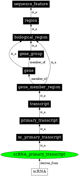 Graph image for SO:0000012