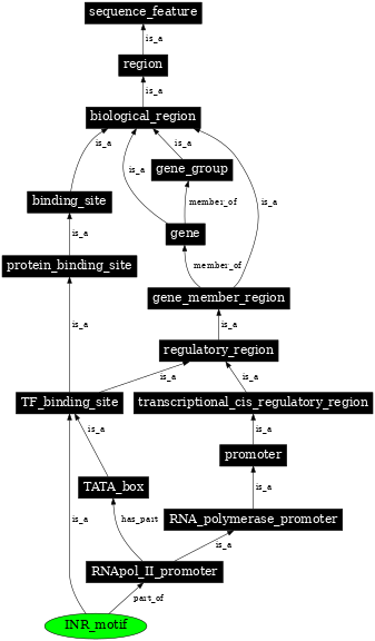 Graph image for SO:0000014