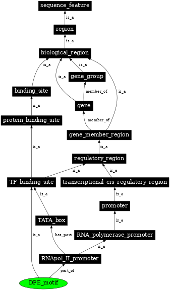 Graph image for SO:0000015