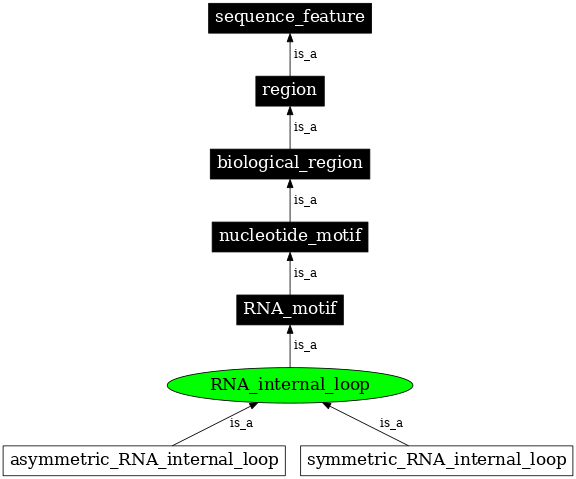 Graph image for SO:0000020