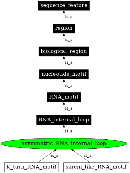 Graph image for SO:0000021