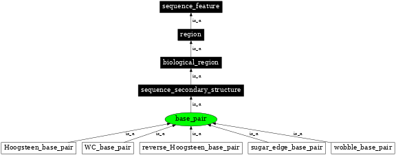 Graph image for SO:0000028