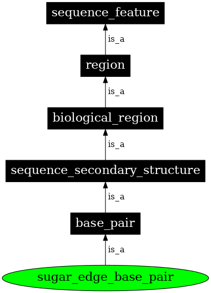 Graph image for SO:0000030