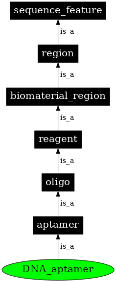 Graph image for SO:0000032