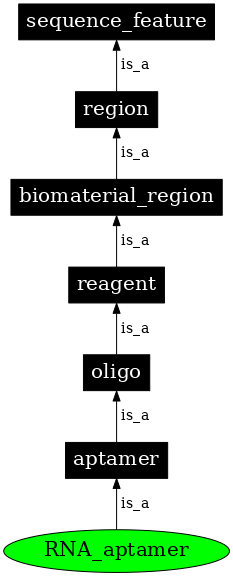 Graph image for SO:0000033