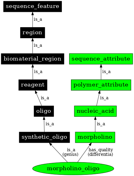 Graph image for SO:0000034