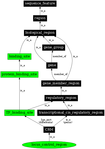 Graph image for SO:0000037