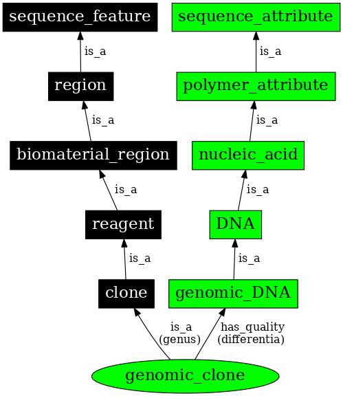 Graph image for SO:0000040