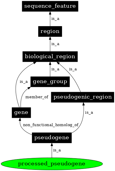 Graph image for SO:0000043